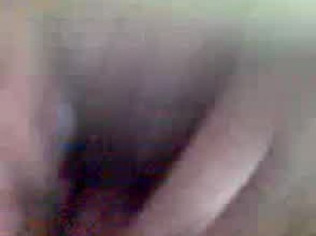 Awek Semarang 