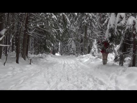 Winter Forest Dance 