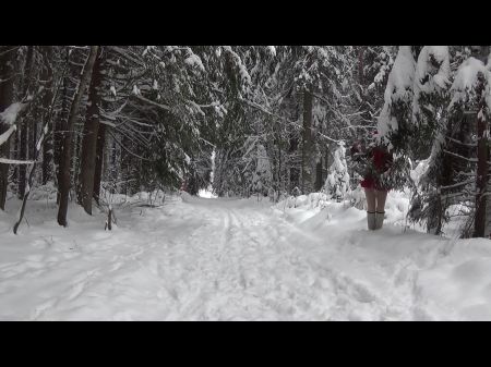 Winter Forest Dance