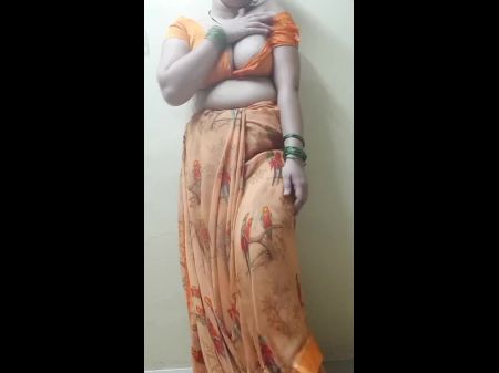 Indische Hausfrau In Saree 