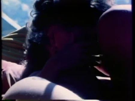 渴望的海狸（1977年，美国，完整的短片，DVD RIP）