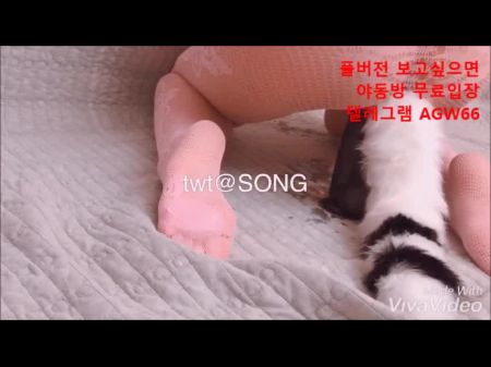 性感的韩国女孩