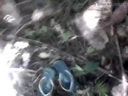 Png Thicket Shags Two