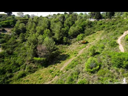 Drone Accidentally Catches A Youthful Couple Banging Outside