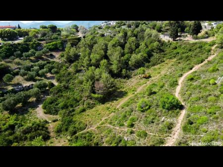 Drone Accidentally Catches A Youthfull Duo Nailing Outdoors