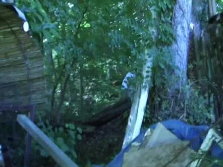 Super-cute French Nubile Idolizes Pleasuring Five Studs