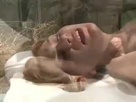 Frau Mit Sehr Haariger Fotze Im Garten Gefickt 