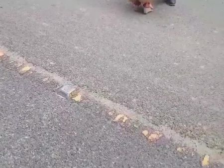 朋友的韩国妻子性交