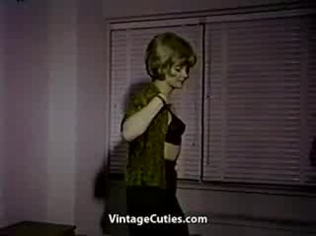 Observing Unsheathed Chicks Through The Window (1960s Vintage)