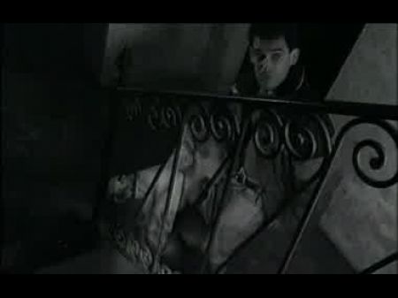 Kelly Trump In Film Dossier