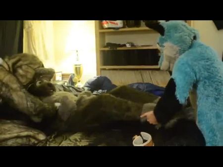 Fursuit 1 