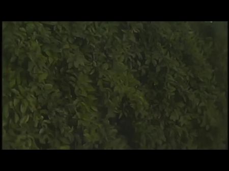 El chocolate se jode y hace anal y DP con todos los chicos blancos 