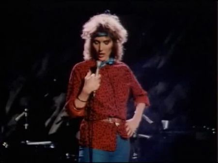 San Fernando Valley Damsels (1987 , Us , Sharon Mitchell , Dvd)
