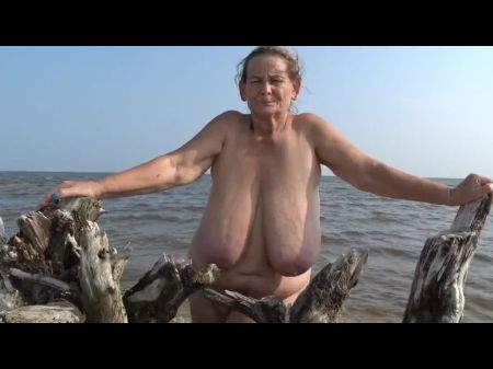 الشاطئ Driftwood مقدمة الترويج 