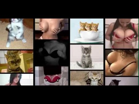 Bumpers And Kittens ! Tittiesnkitties