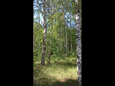 Masturbándose en el árbol con ramita seca. Cuerto peludo en el bosque 