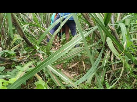 Schwager brachte Schwägerin in den Wald und sie viel 