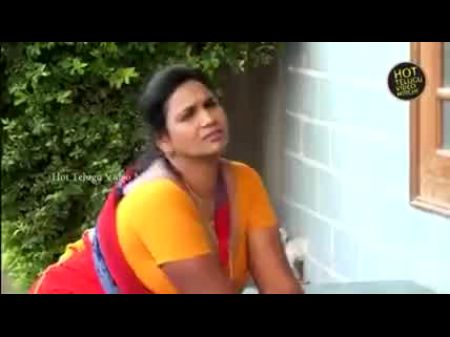 Mallu Servant Aunty 