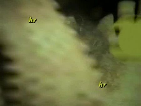 Bitch Vintage Still Vhs Video Of Homemade Romp #10
