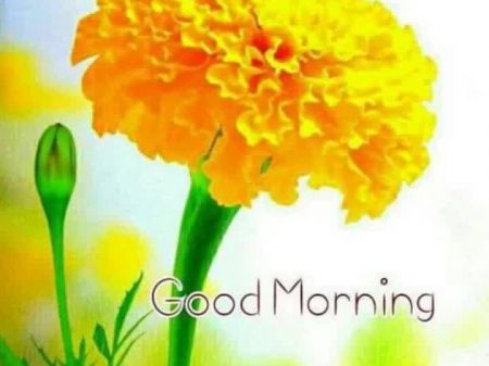 用你的长家伙操我。