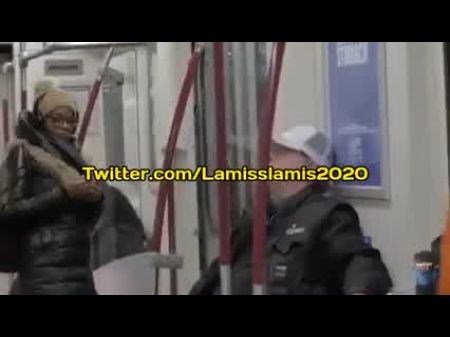 kalb fe mkan public 
