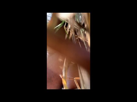 Wow Schöne Muschi Zum Ersten Mal Im Wald (schönes Ficken Im Dschungel Indien) 