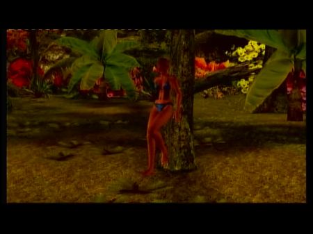 让我们玩死亡或活着的极限1 13 von 20 