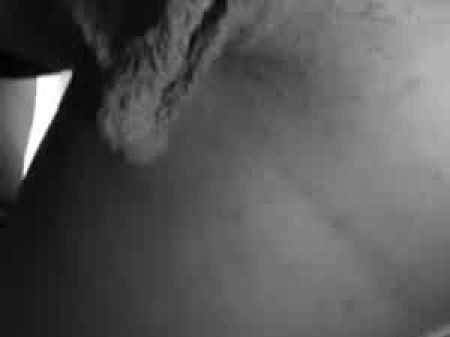Pussy Lippen schwingen 