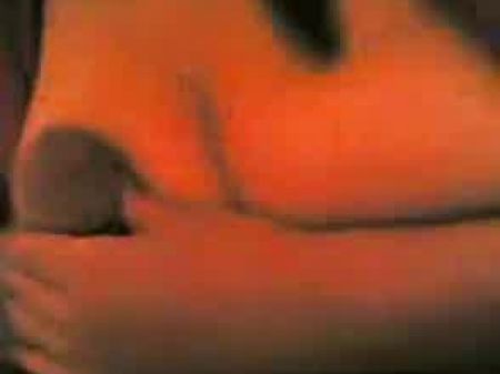 Arab - Egyptian - Plus-size