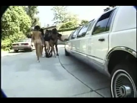 6 Chicks de ébano com um cara de sorte 