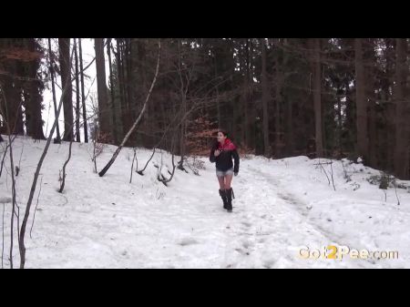 Pees Europeos De Cabello Cuervo En La Nieve 