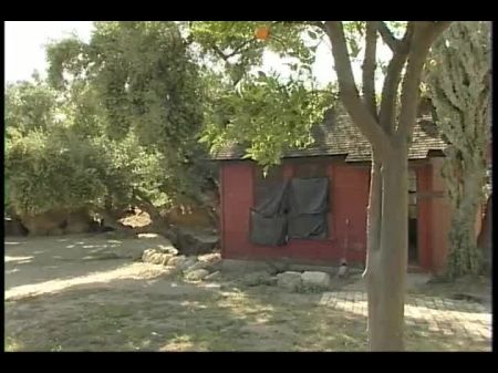 Varios Artistas Texas Dildo Masquerade 