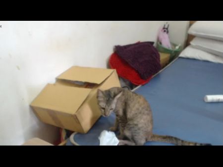 Cunnilingus Orgasm Closup. Creampie 