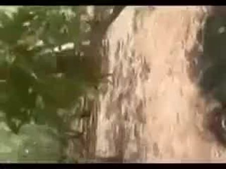 моя девушка трахается 