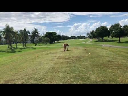 Meine Frau spielt Golf 1 öffentlicher Platz 
