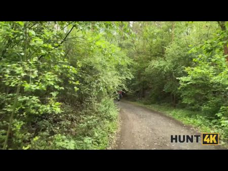 Hunt4k。真正多汁的猫狩猎