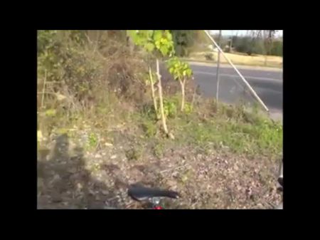 Facial Cumshot On The Biking Trail