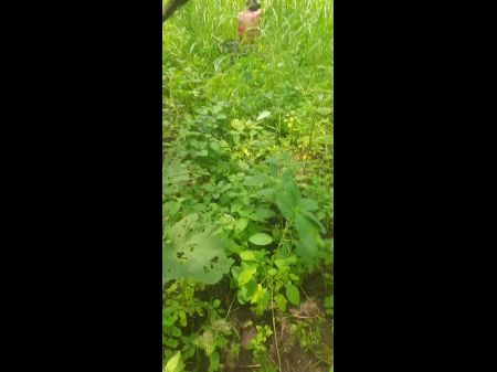 Devar Ne Bhabhi Ko Khet Me Bha Bhi Mukhbhum Lauda Chuswakar Ke Unke Saath Romance Kiya Open Mein