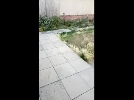 赤裸裸地撒尿，在我的后花园里走来走去