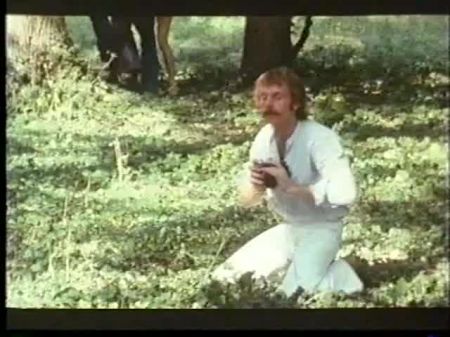 Wunsche und interverseen (1976) AKA Desirs et Perversions 