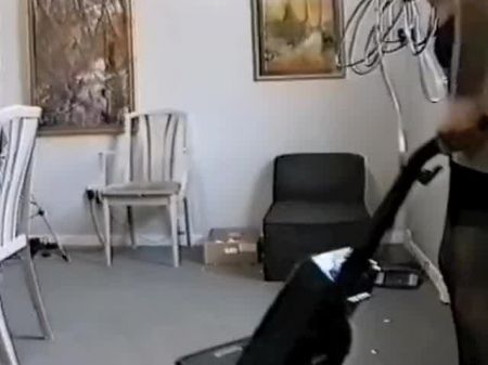 Mein neuer Reiniger Laura Turner 