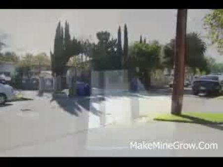 7h33 Gianna Michaels Big Boobs Ffm+fffm+fffffm+bonus Comp 