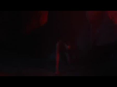 Erotik, yovvoyi jinsiy aloqa