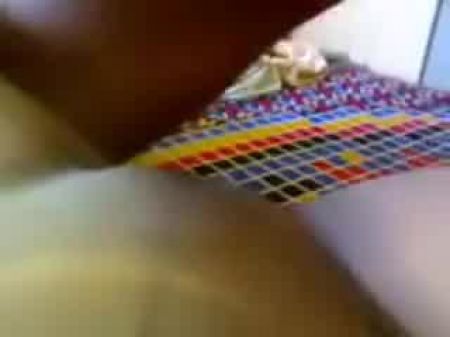 Пара индийской амотра 