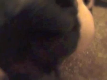 La perra embarazada encadenada ama la humillación y el anal 