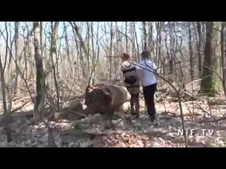 Wild French Emo Cockslut Plowed Hard In A Gang-fuck Outdoor