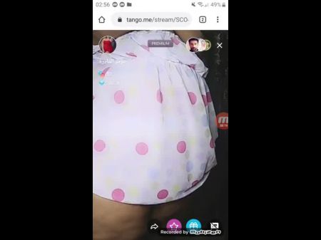 Tango En Vivo Marmar Al Masriya P1 