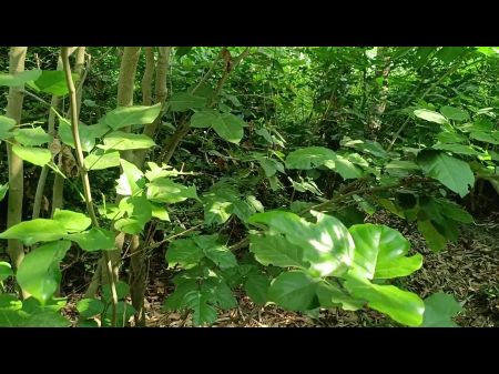 Desi Bhabhi Ki Chudai Jungle Mein - Indian Horny Bang-out