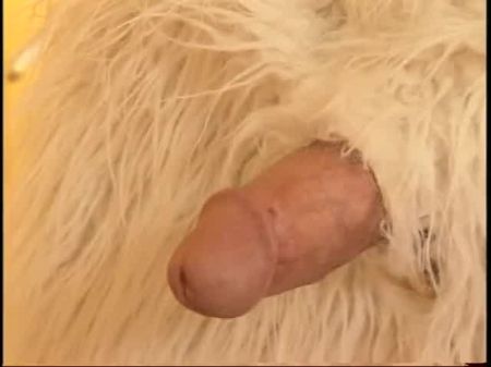 Miniature Body Japanese Teen Rails Rude Prick In Her Tiny Bed