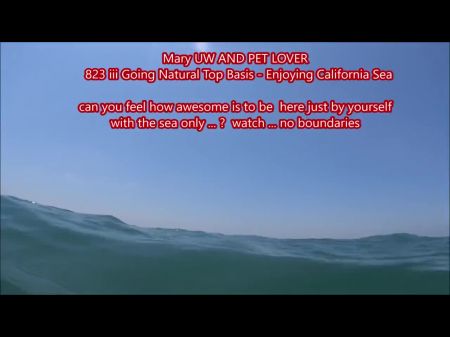 玛丽的水下和宠物爱好者Cal Beach 4 